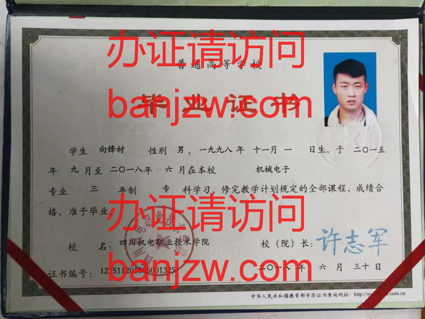 普通大学毕业证书样本 普通大学毕业证书样本