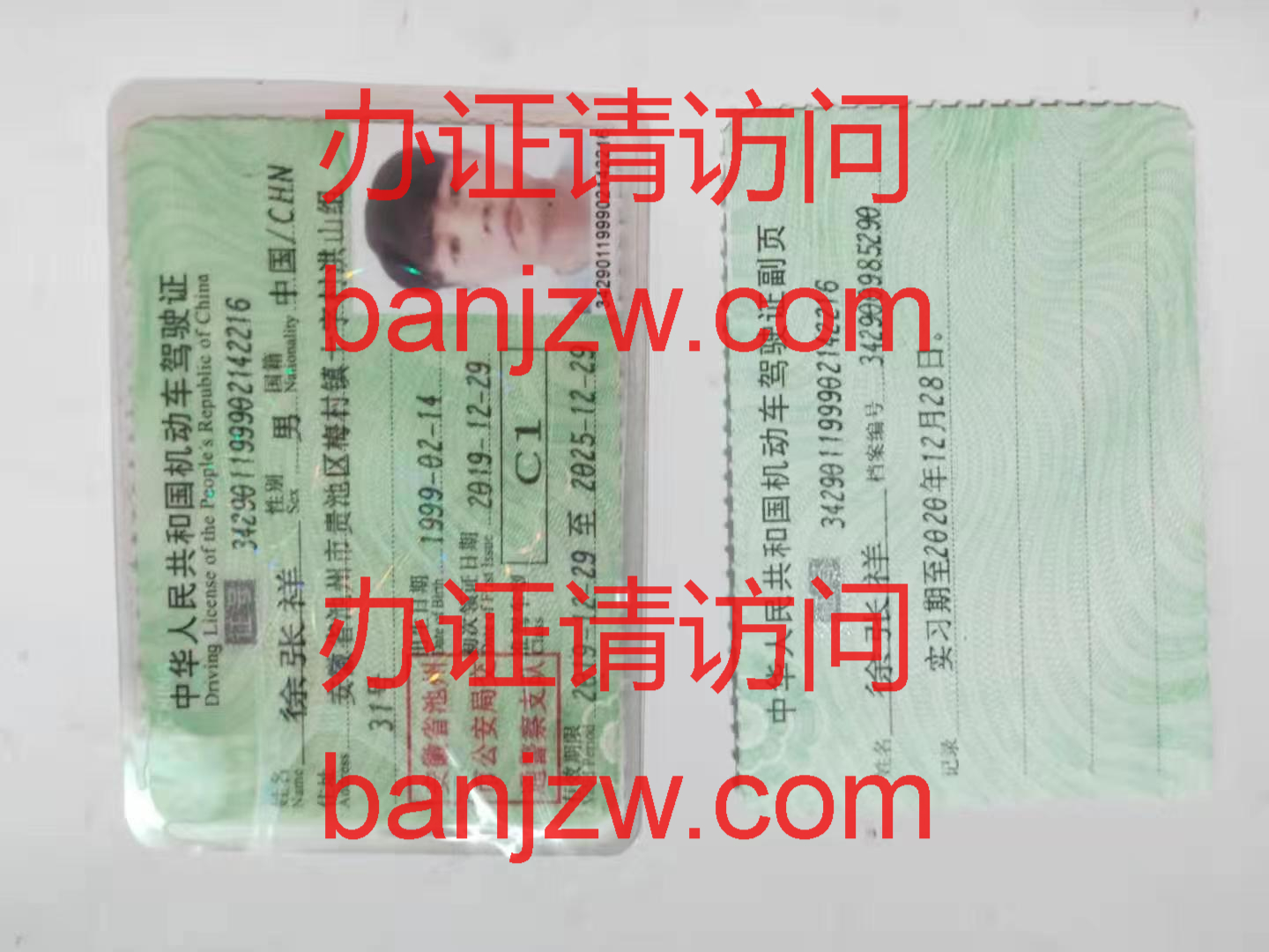 驾驶证样本 驾驶证样本